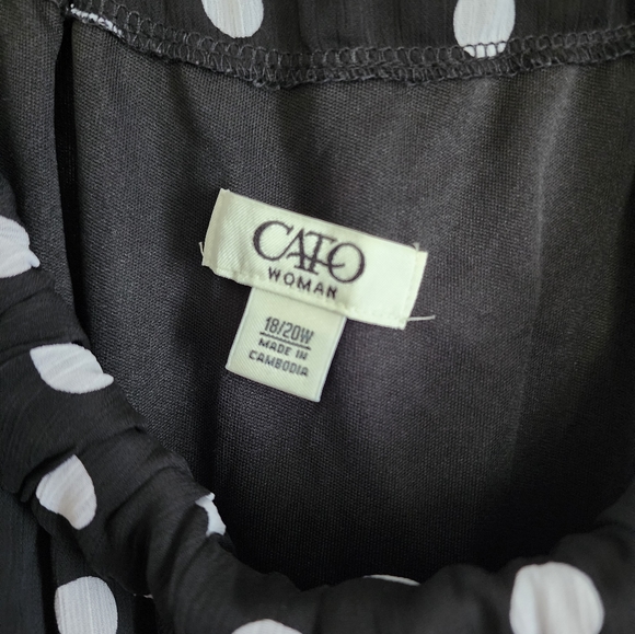 Cato Polka-Dot Ruffle Dress - Picture 3 of 4